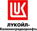ООО "ЛУКОЙЛ-Калининградморнефть"