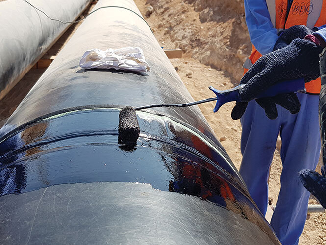 Праймер ПЛ-М